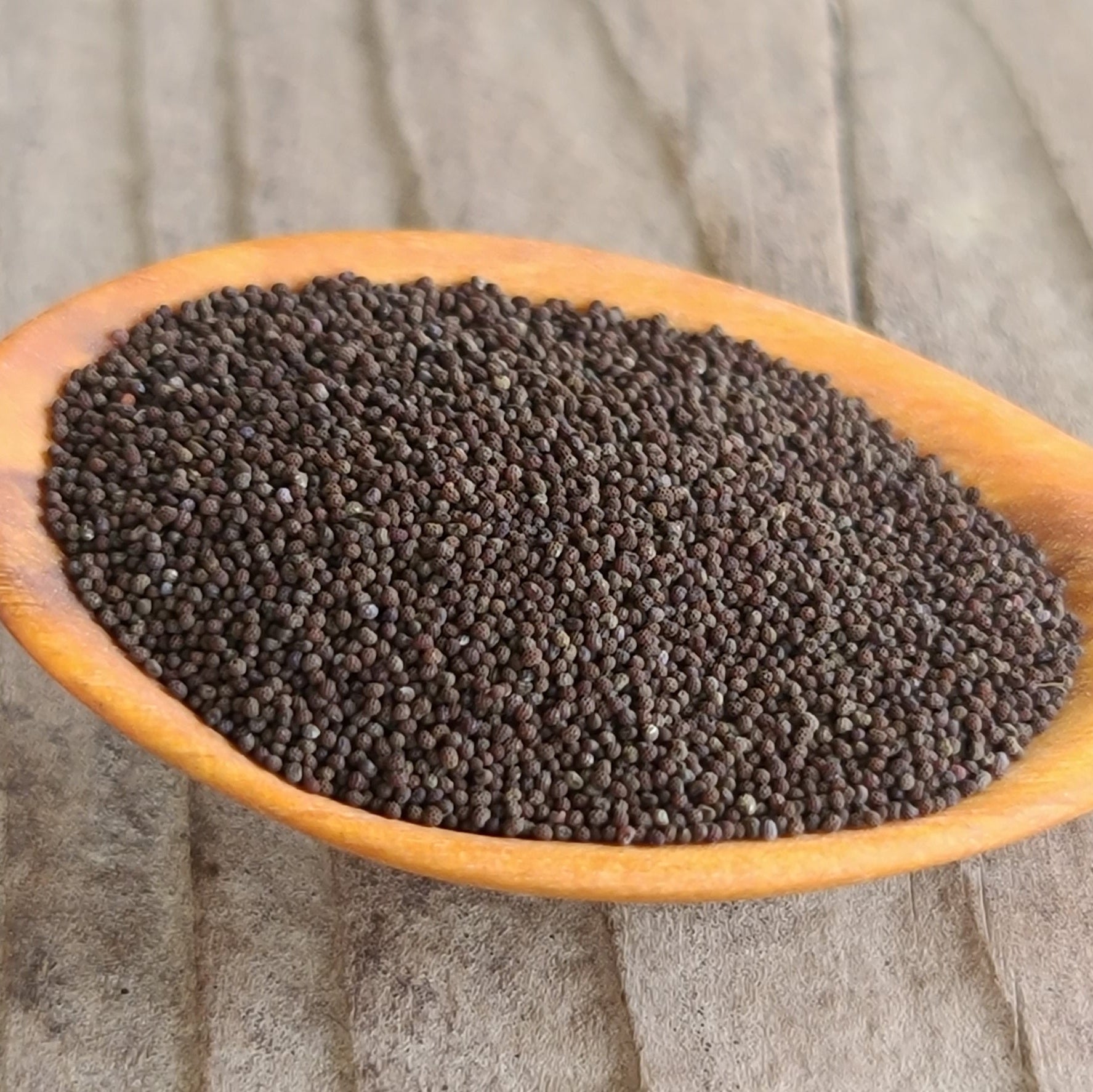 Shirley Poppy Seeds