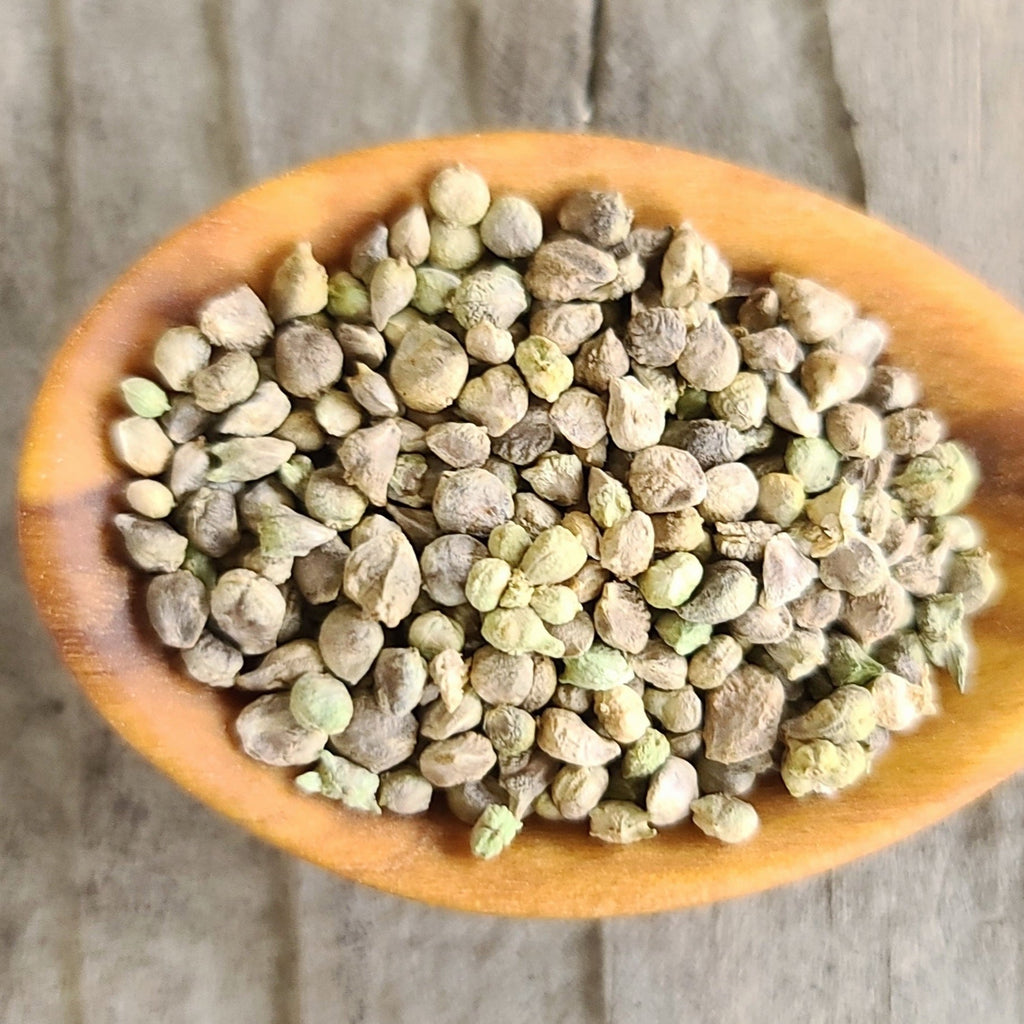Seeds - spinach