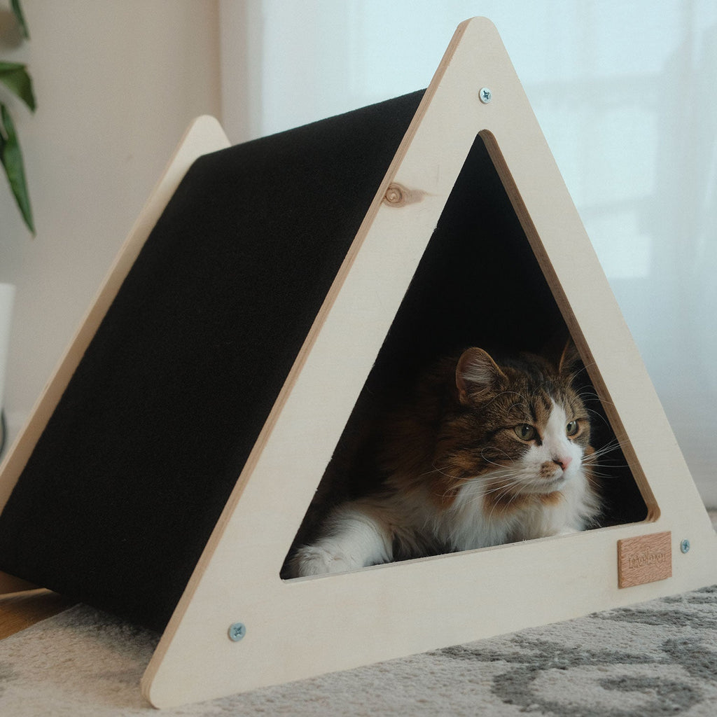 Maison Tipi Noba Origin à Griffer