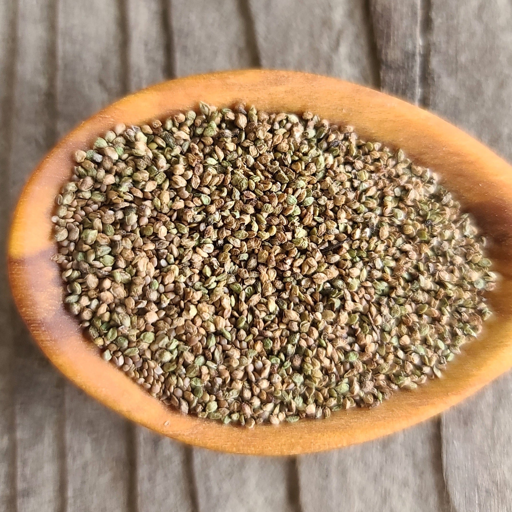 Stinging Nettle Seeds