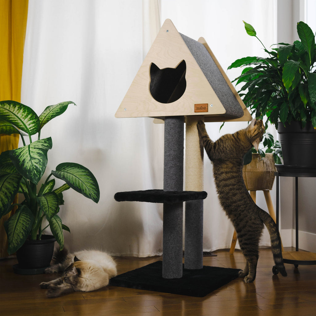Teepee Hideout – Arbre à chats Deluxe à 2 niveaux