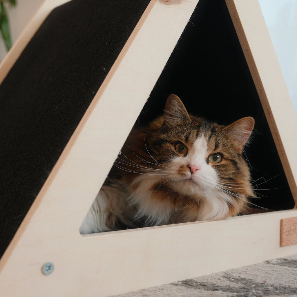 Maison Tipi Noba Origin à Griffer