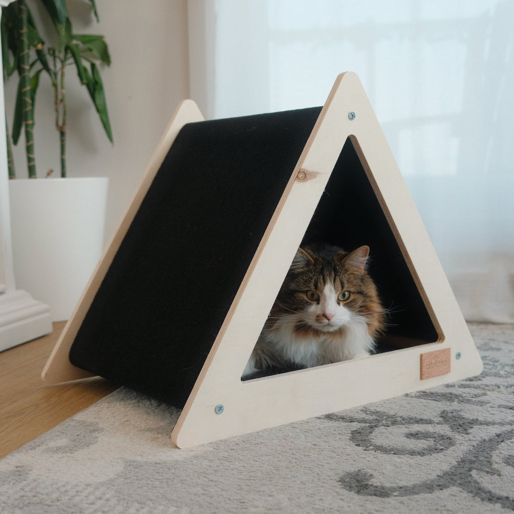 Maison Tipi Noba Origin à Griffer