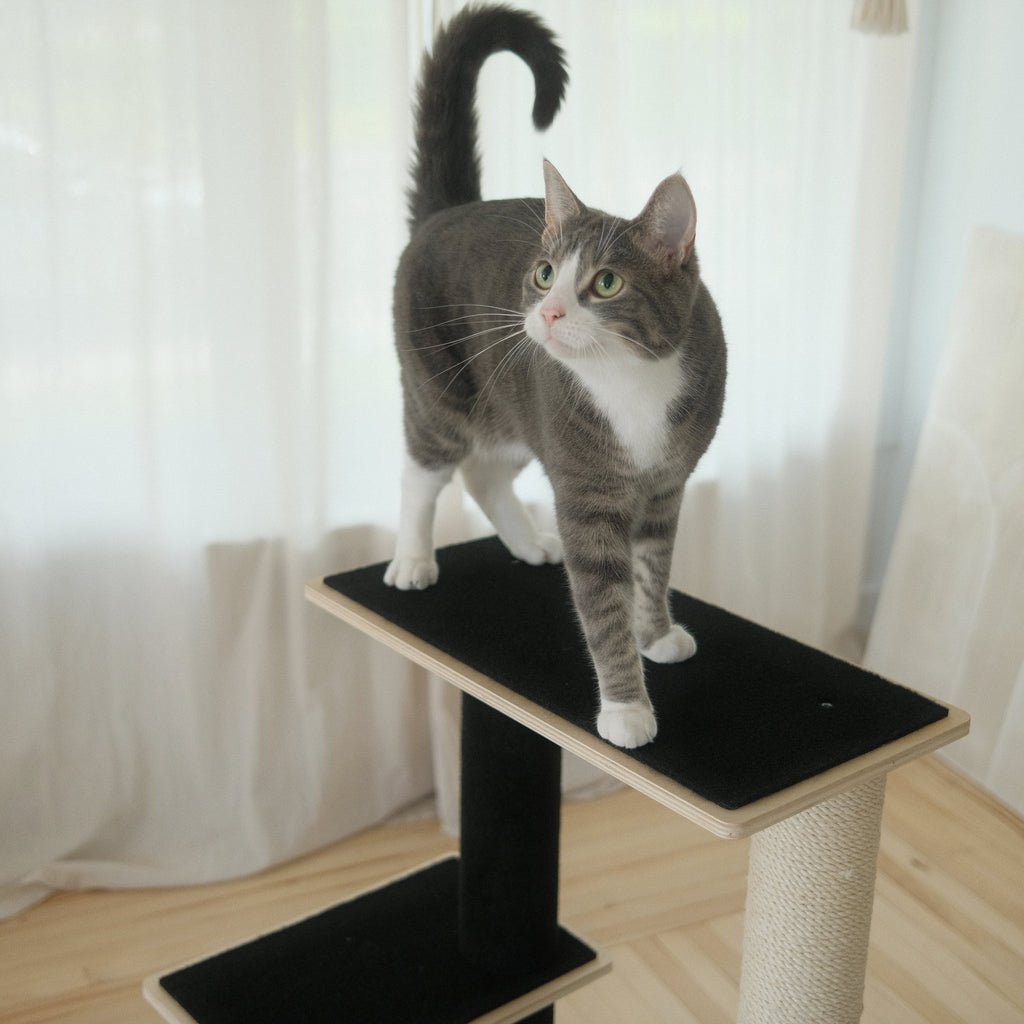 Plywood Cat Tree – 2 Tiers