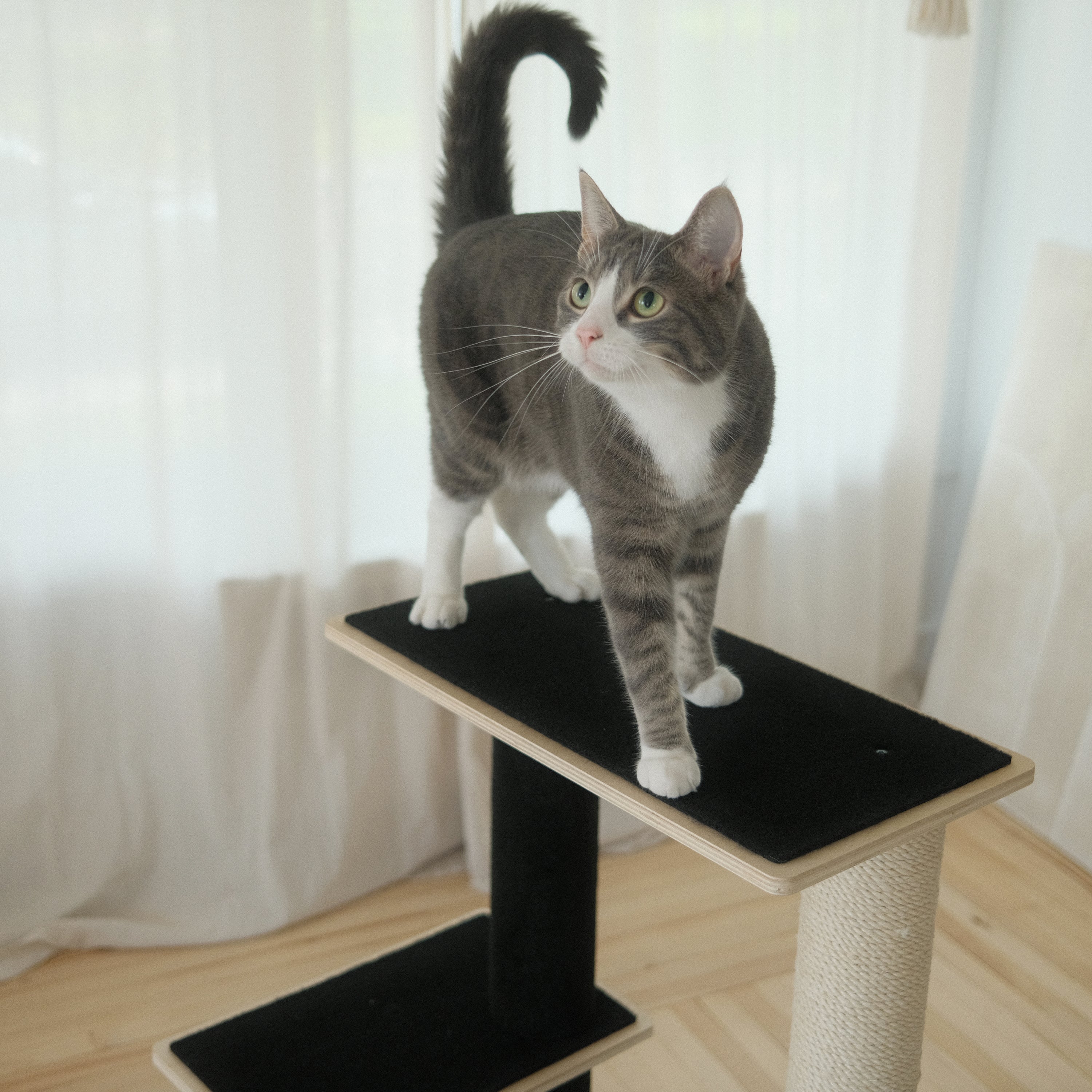 Plywood Cat Tree – 2 Tiers