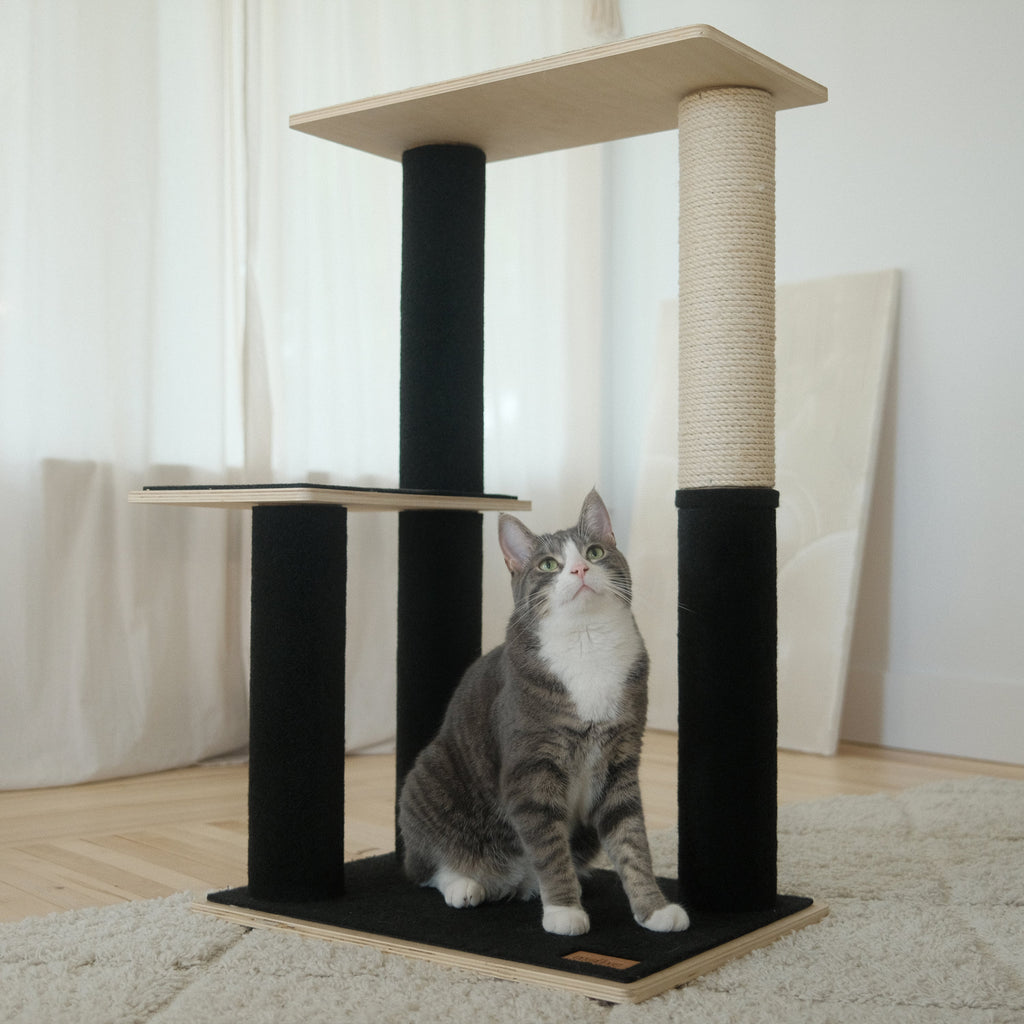 Plywood Cat Tree – 2 Tiers