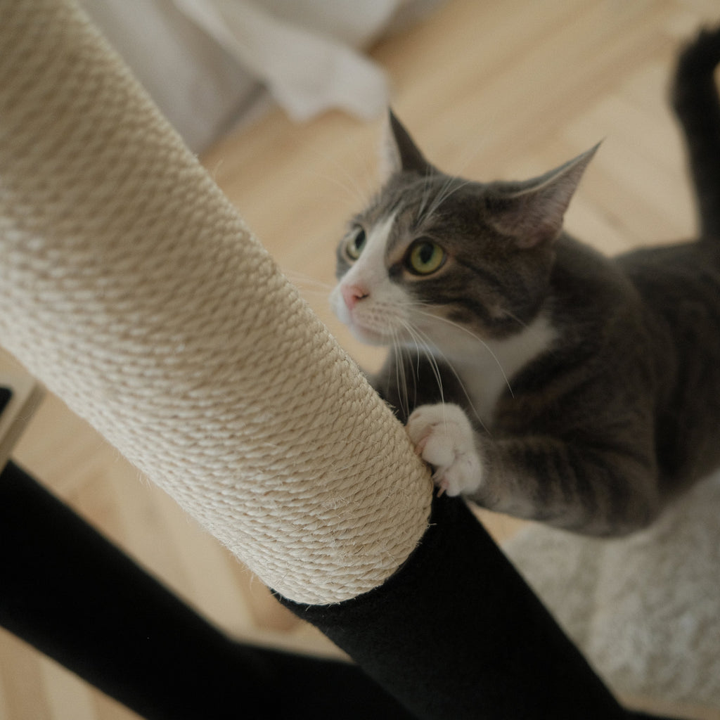 Plywood Cat Tree – 2 Tiers