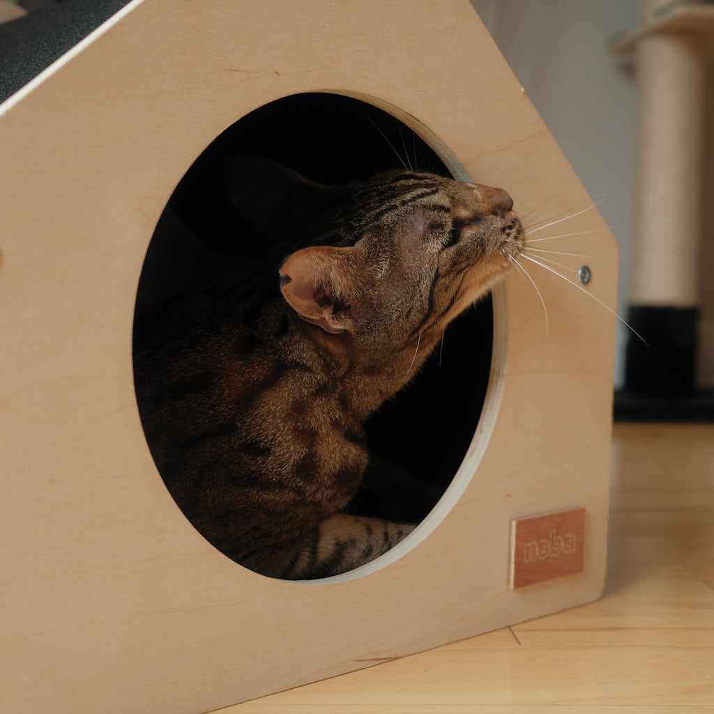 Maison pour Animaux Urban Condo