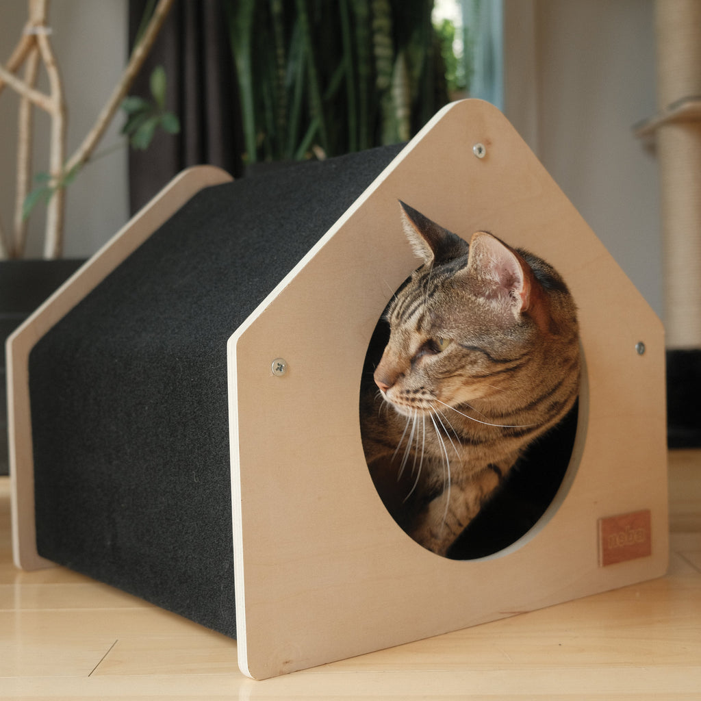 Maison pour Animaux Urban Condo