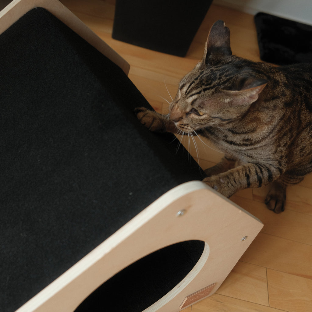 Maison pour Animaux Urban Condo