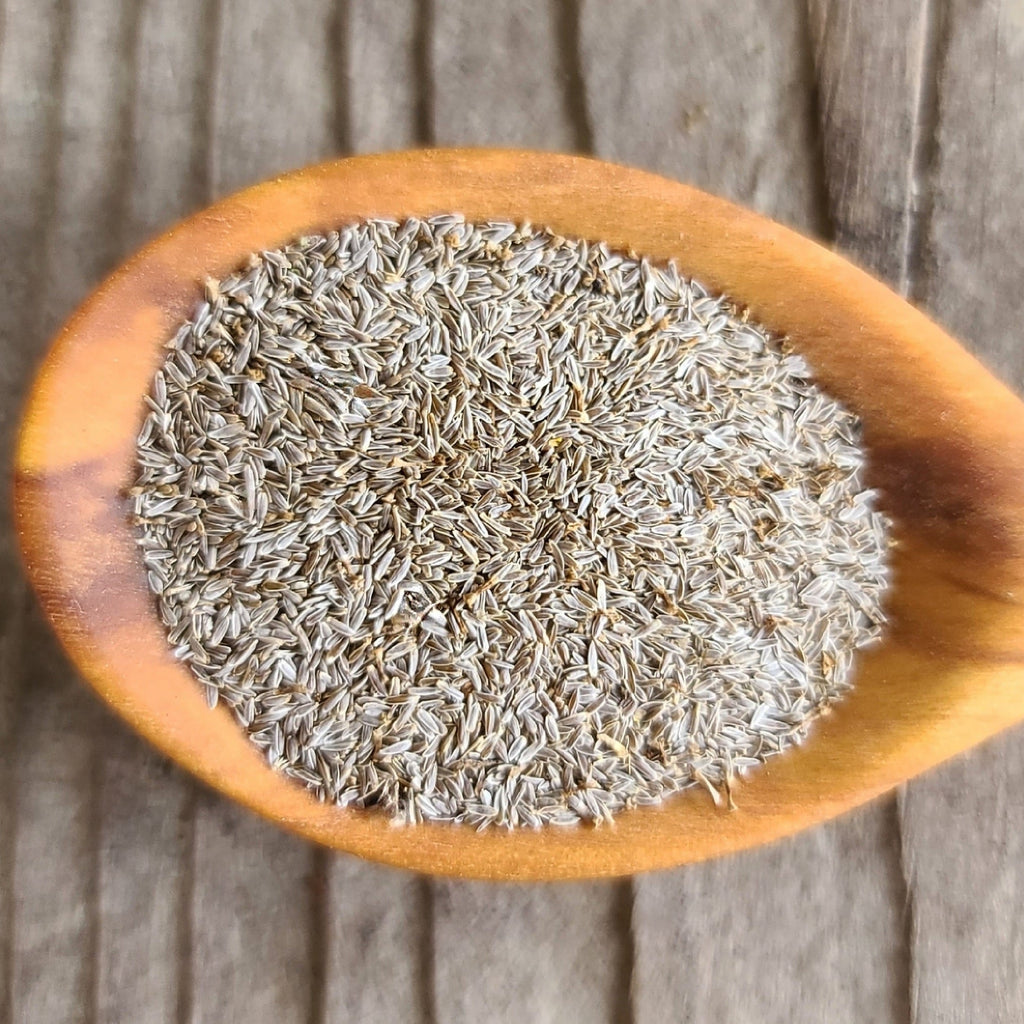 Seeds - Yarrow