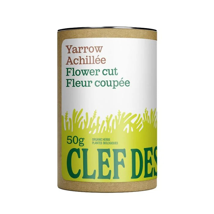 Yarrow flower cut