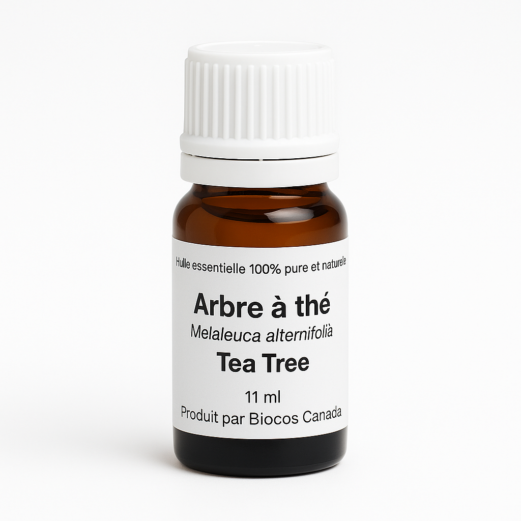 Tea Tree (Arbre à Thé)