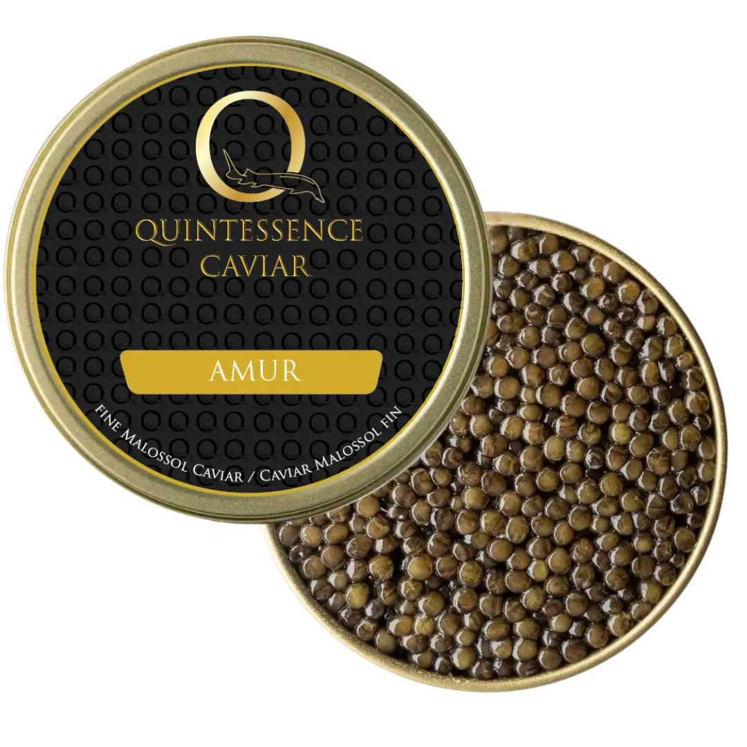 Caviar Amur – Acipenser schrenckii