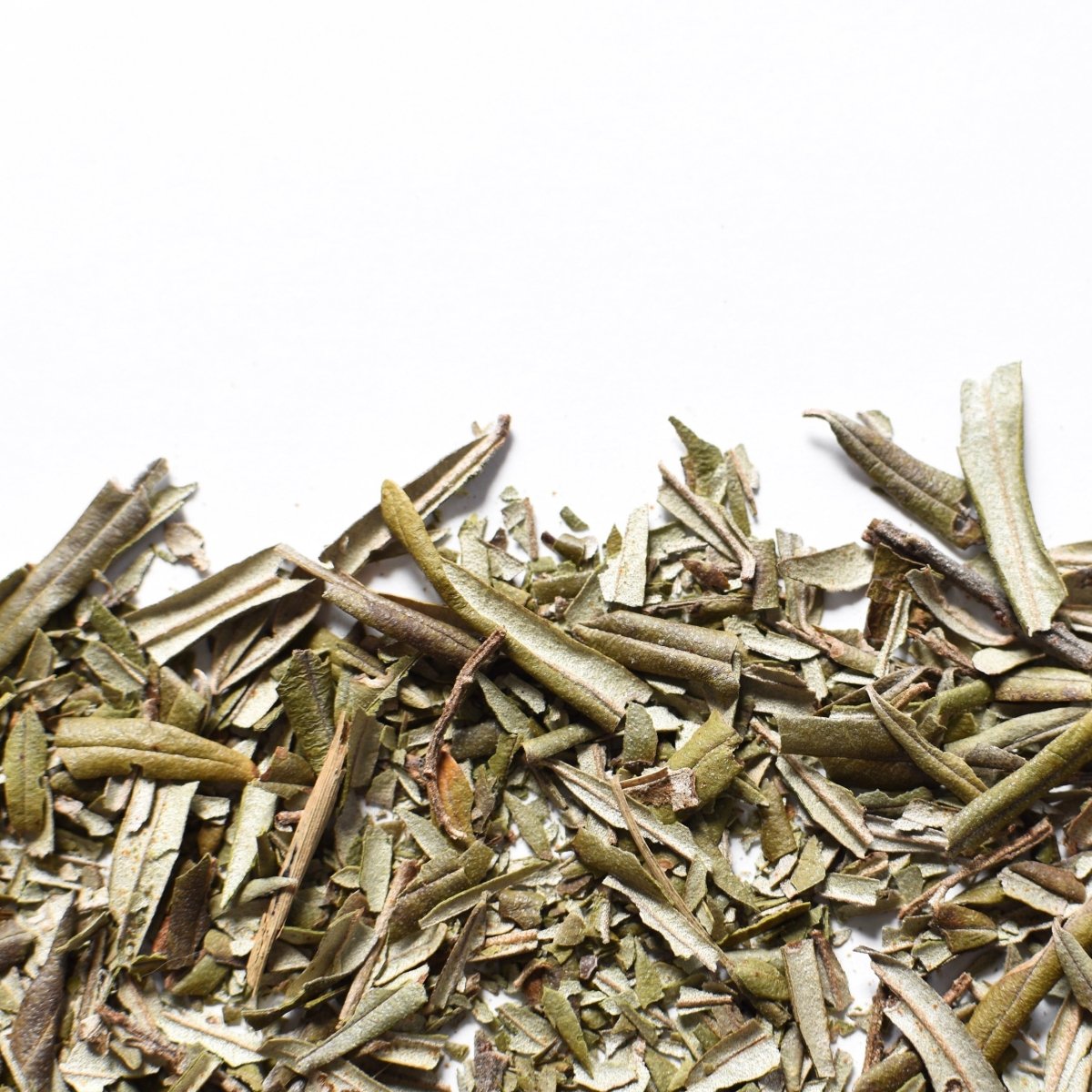 Argousier en feuille