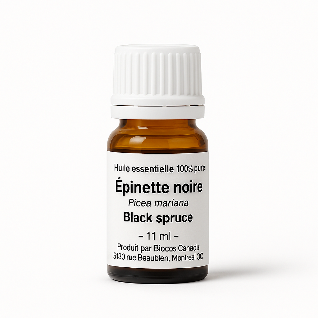 Épinette noire
