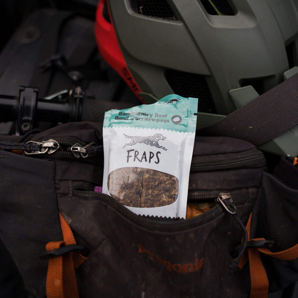 Beef and Pumpkin Energy Bar for Dogs