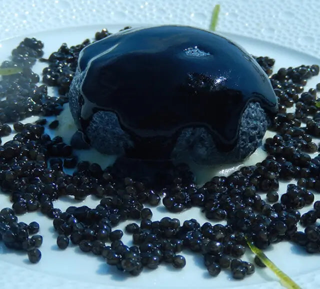 Beluga Caviar
