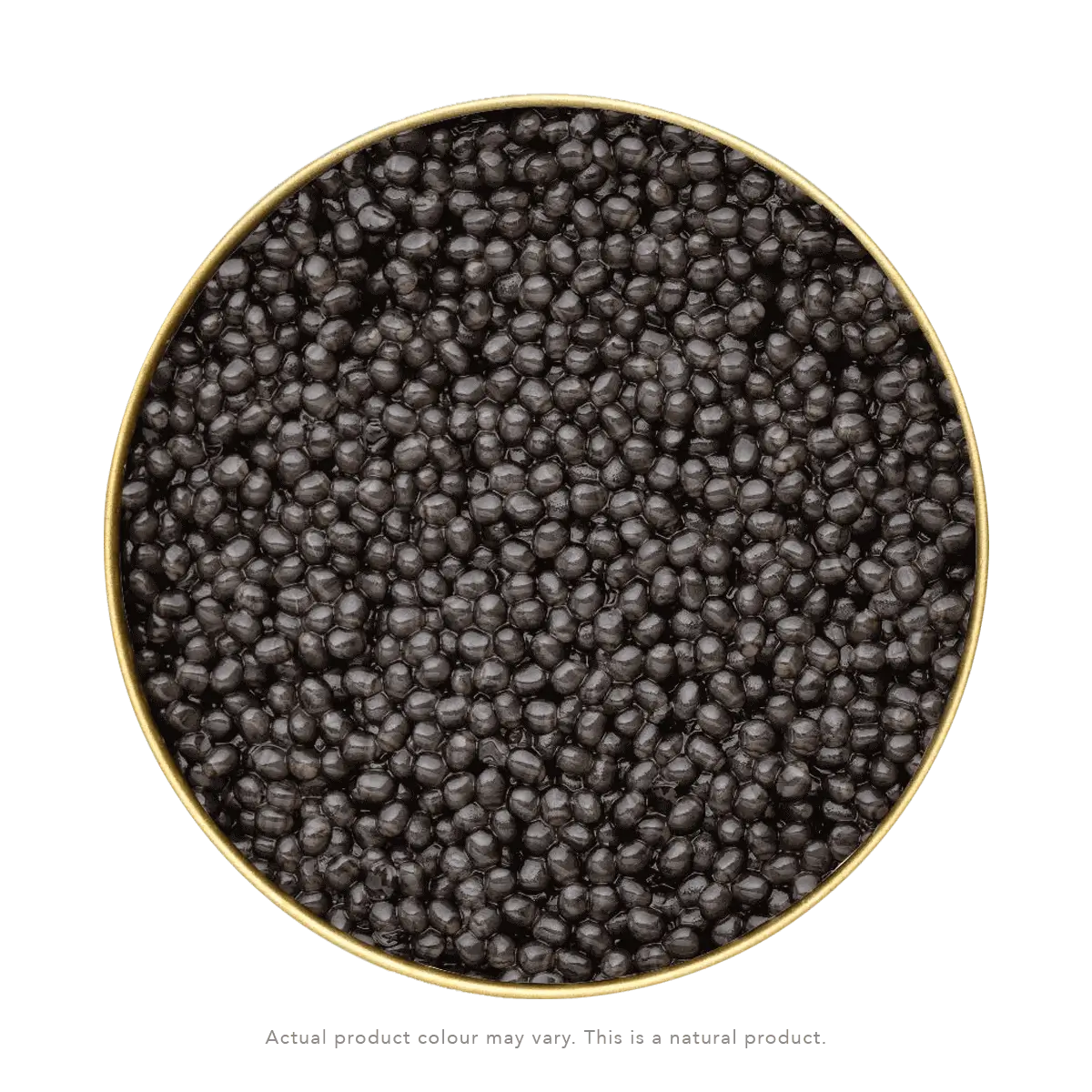Beluga Caviar