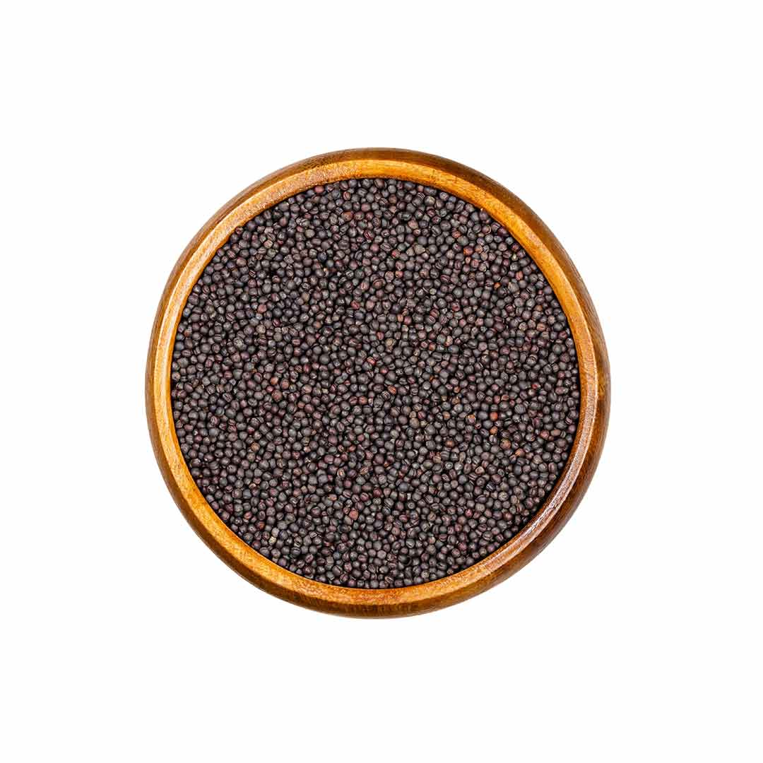 Graines de moutarde noir