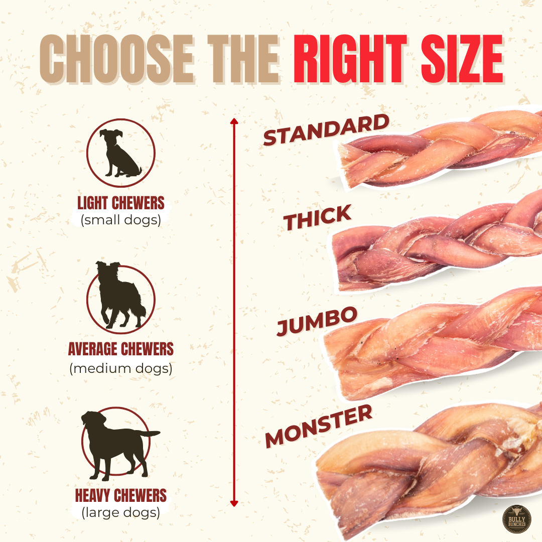 Bâtonnets de bœuf tressés standards naturels 6 po