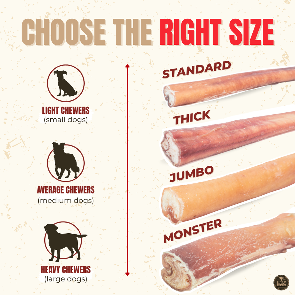 Bâtonnets de bœuf Jumbo de 12 po