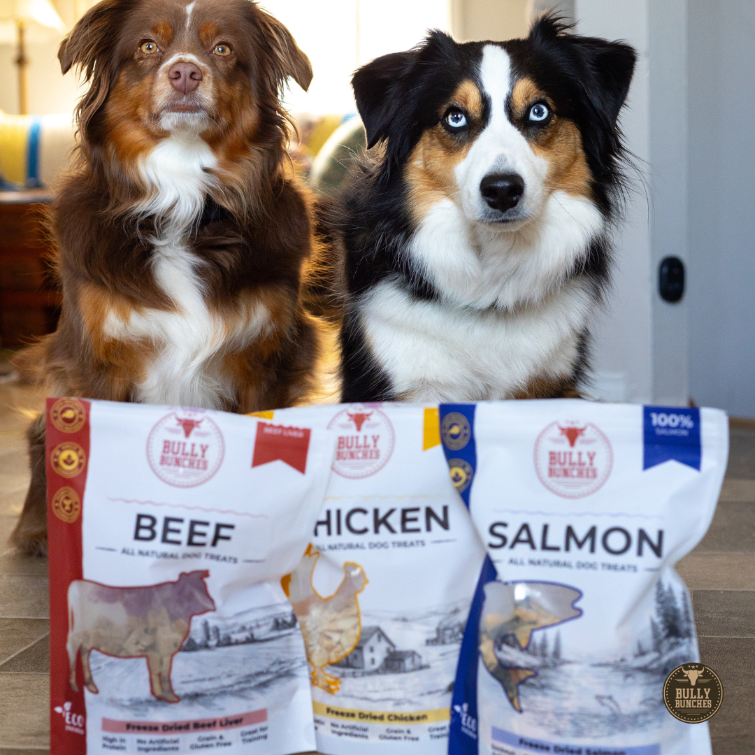 Freeze-dried Treats Variety Pack (Beef, Chicken & Salmon)