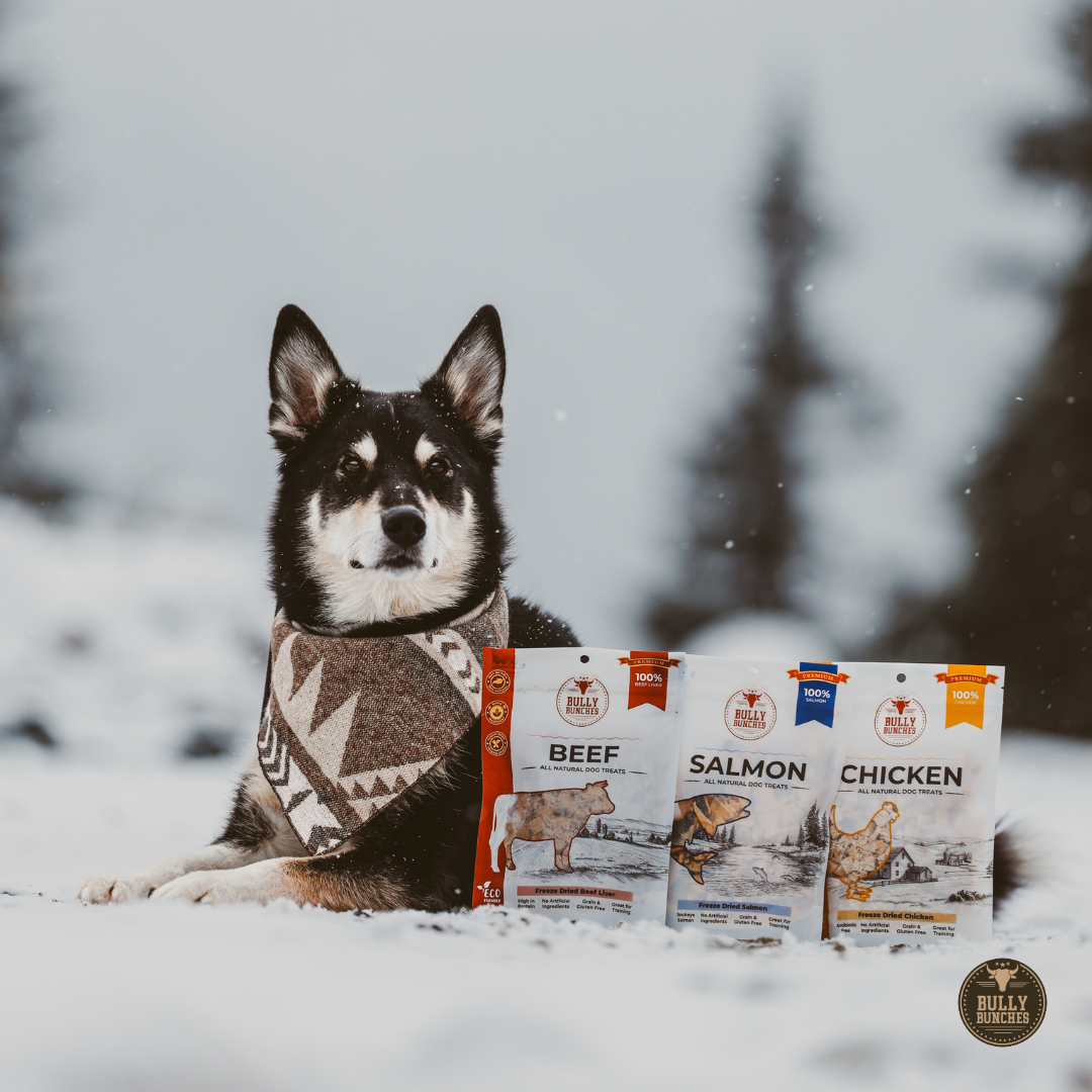 Freeze-dried Treats Variety Pack (Beef, Chicken & Salmon)