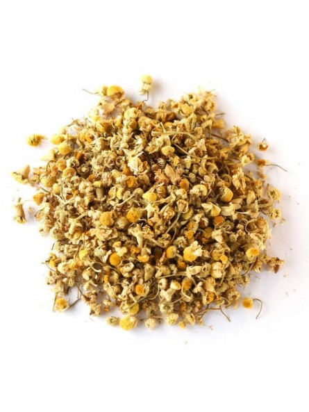 Camomille sauvage Bio