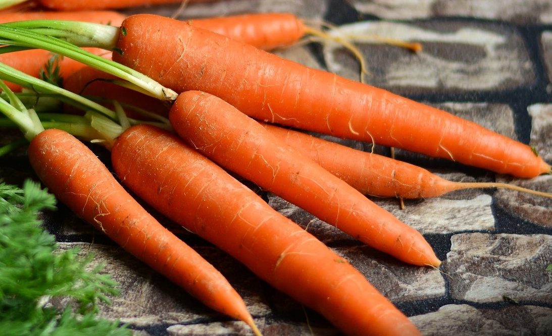 Carrot seeds