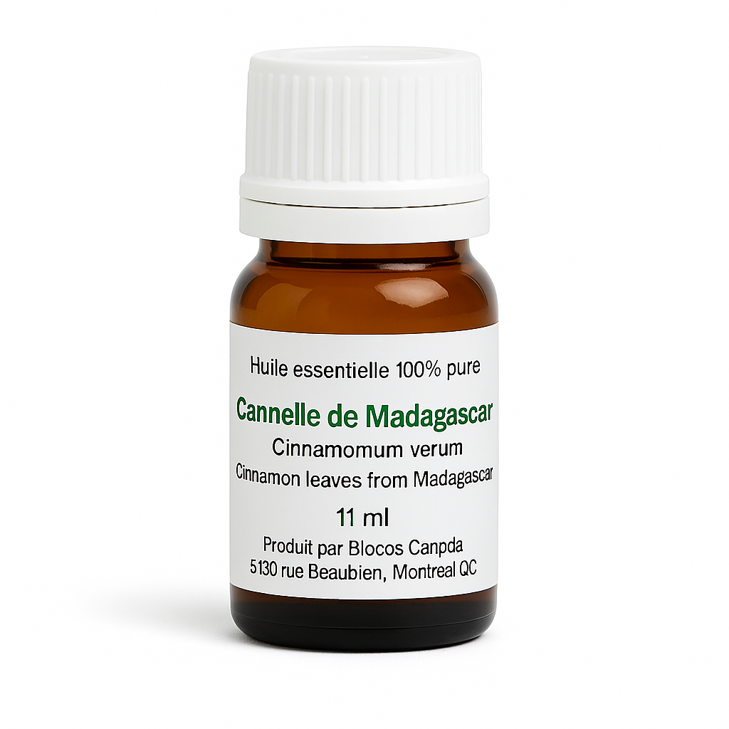 Cannelle de Madagascar