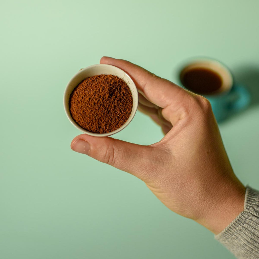 Poudre de Chaga