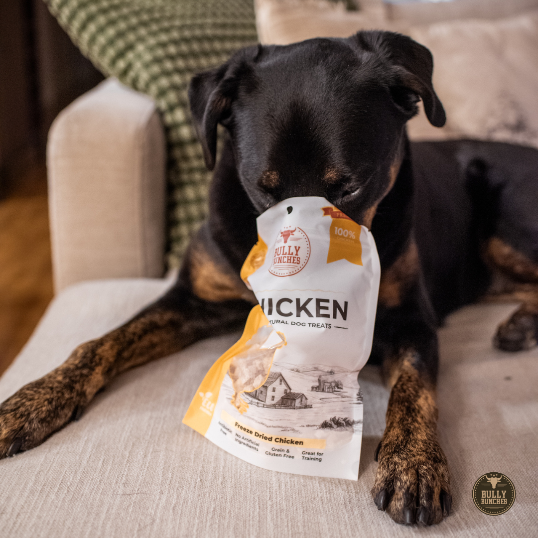 Freeze-Dried Chicken Treats