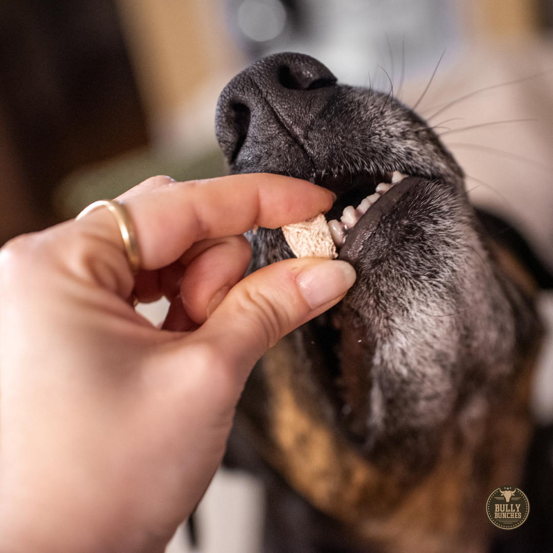 Freeze-Dried Chicken Treats