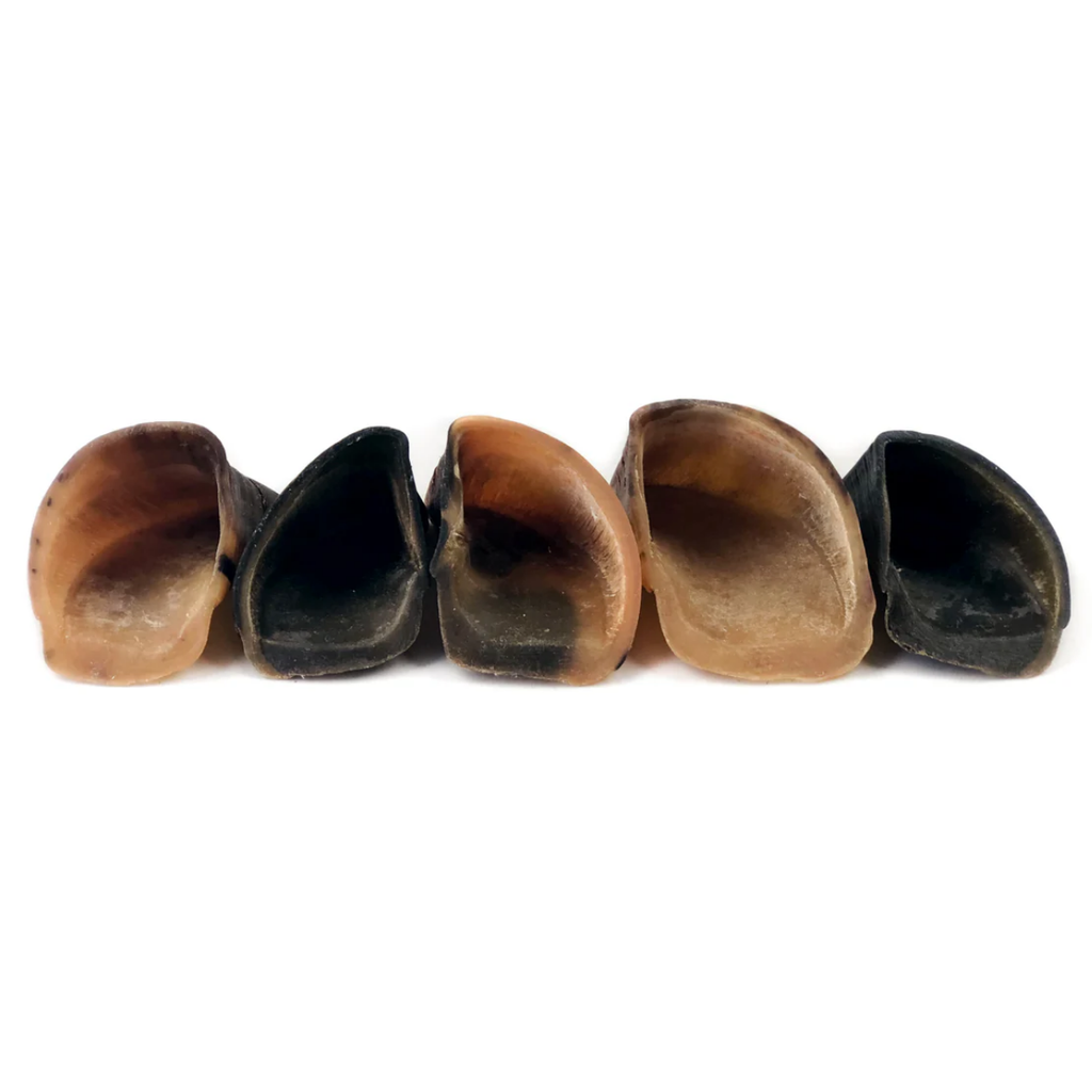 Cow hooves