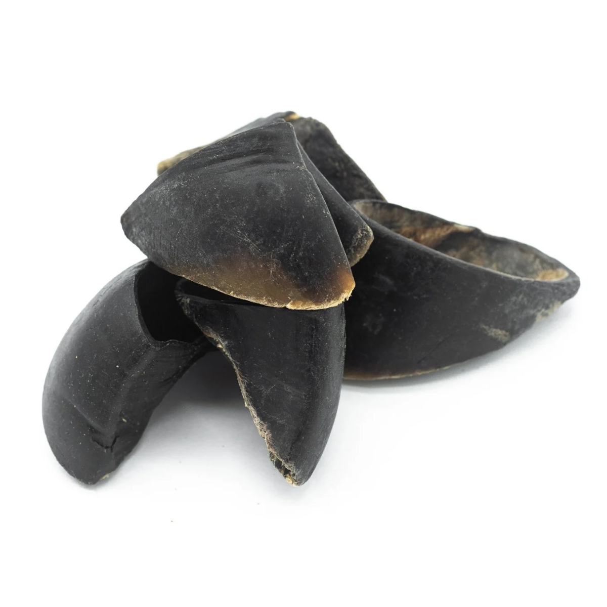 Cow hooves
