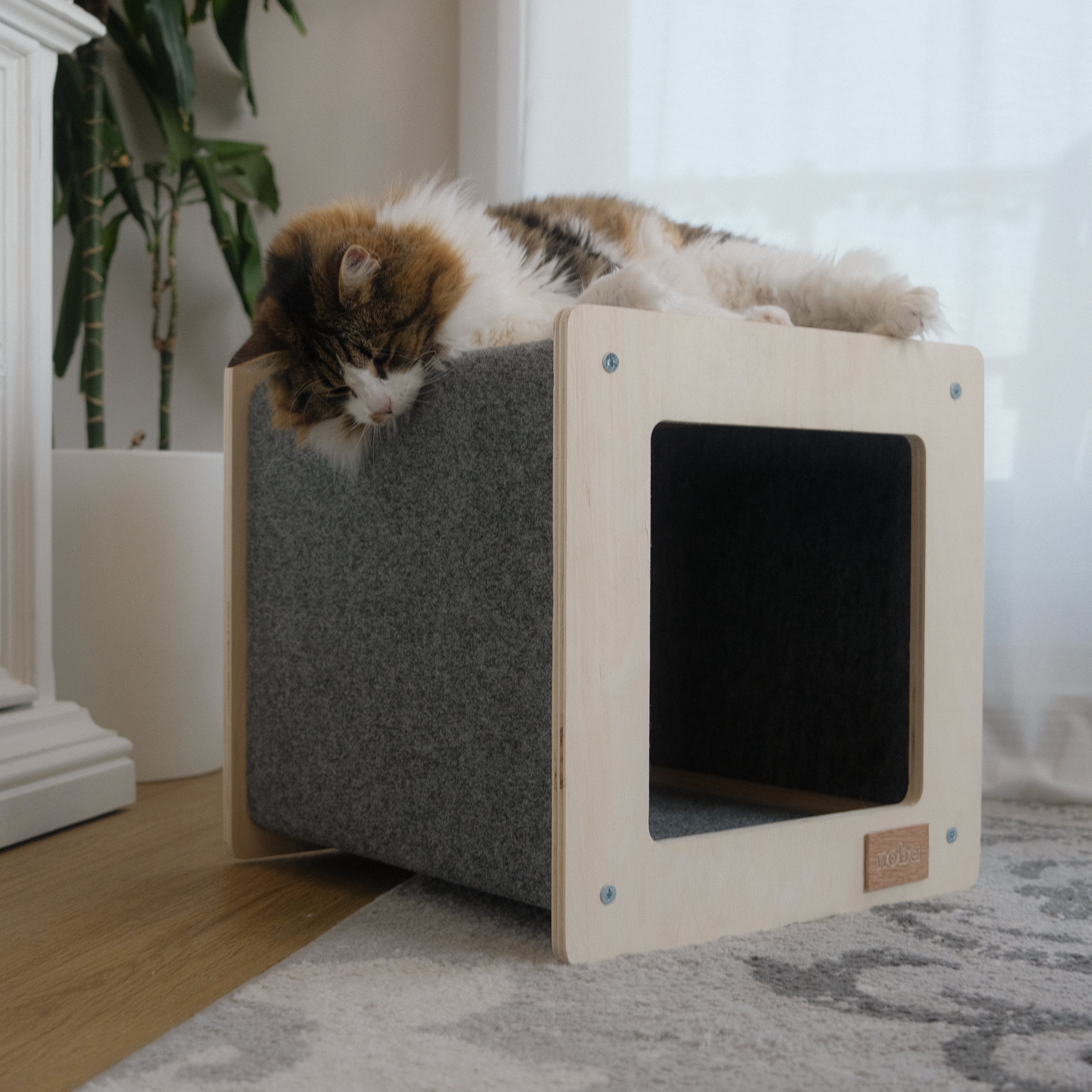 Rest house and scratching post