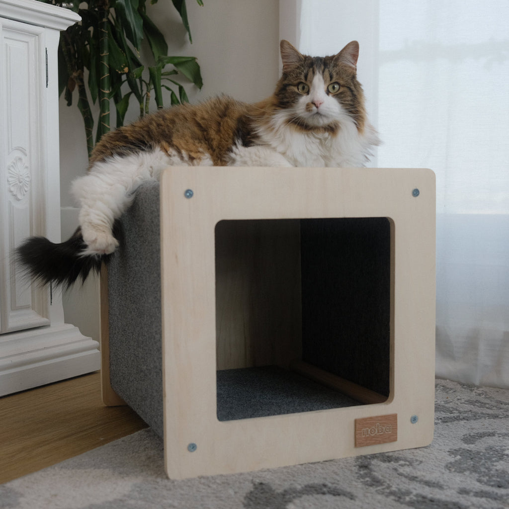 Rest house and scratching post