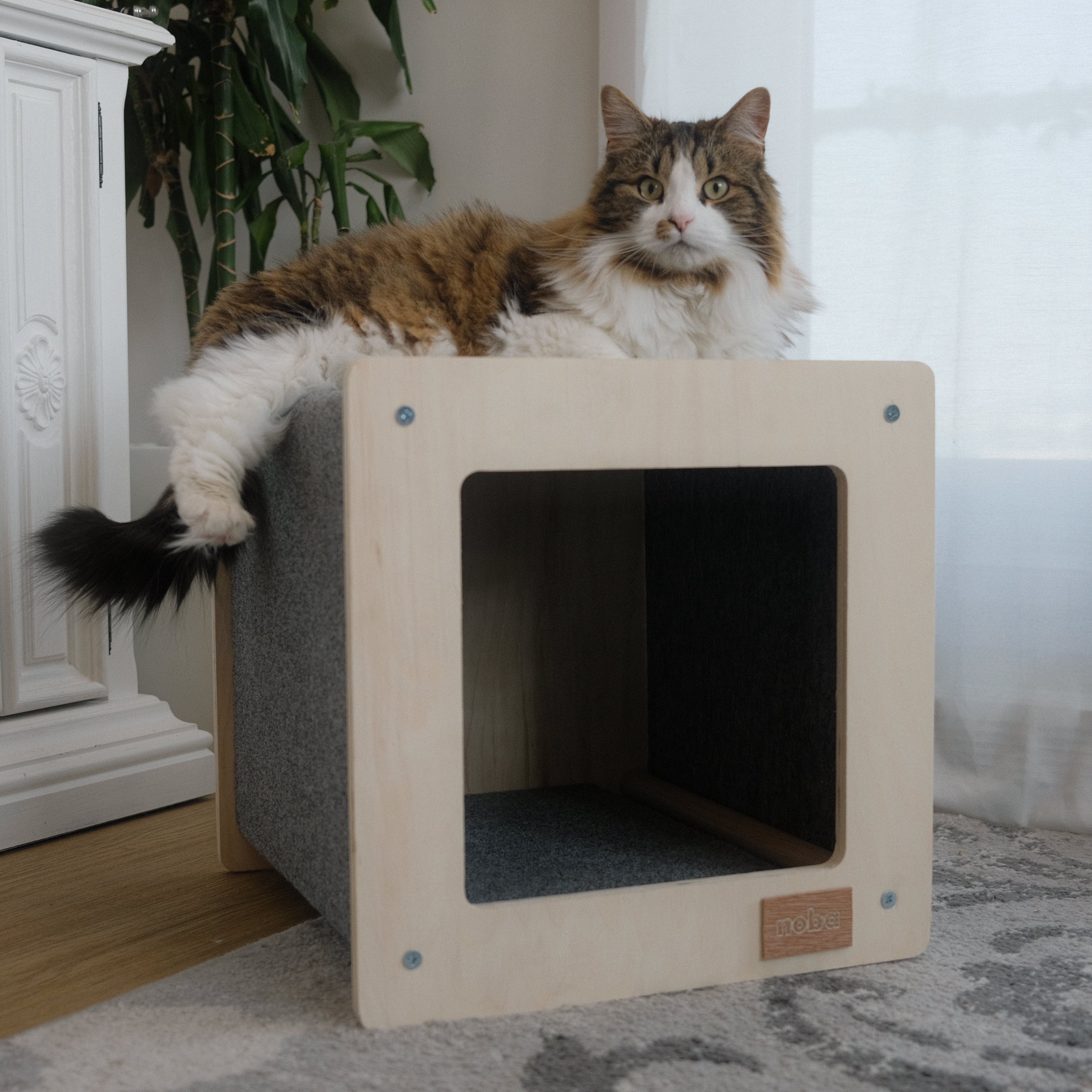 Rest house and scratching post