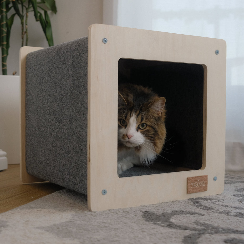 Rest house and scratching post