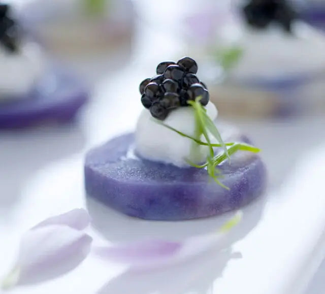 Caviar DaVinci – Esturgeon de l’Adriatique