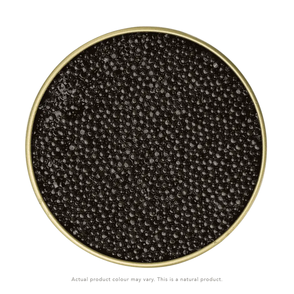 Caviar DaVinci – Esturgeon de l’Adriatique