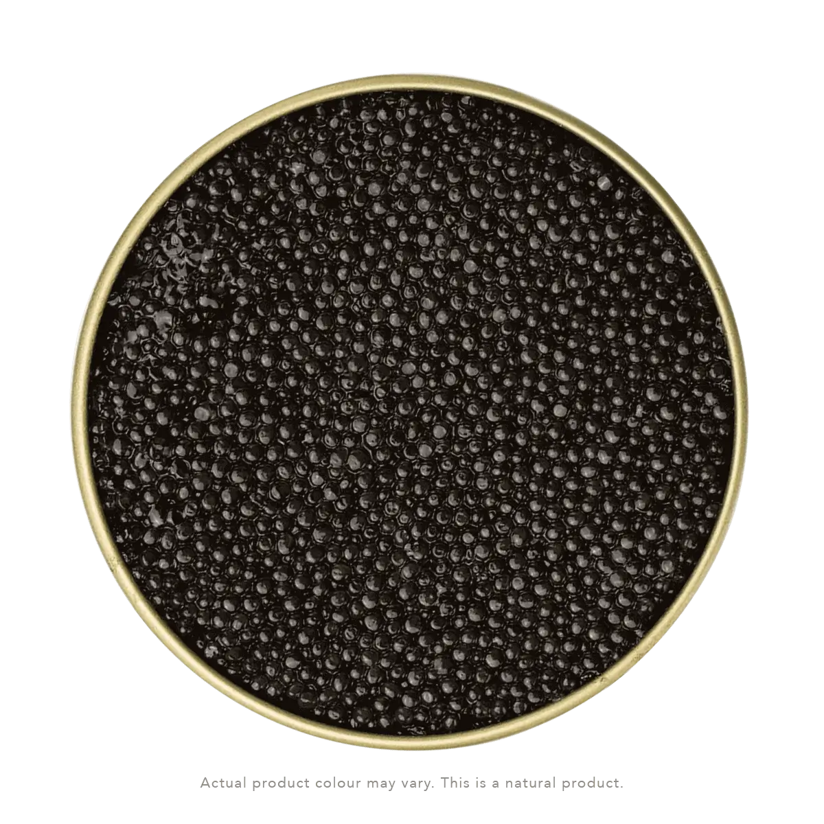 Caviar DaVinci – Esturgeon de l’Adriatique