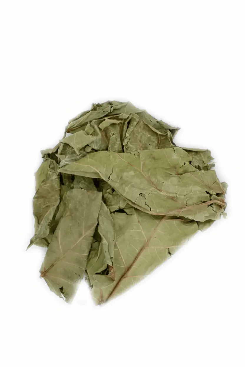 Feuille de mangue bio