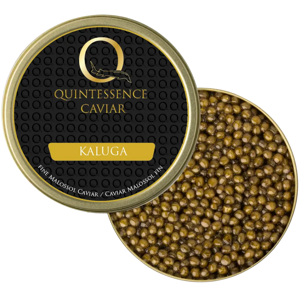 Caviar Kaluga – Huso dauricus