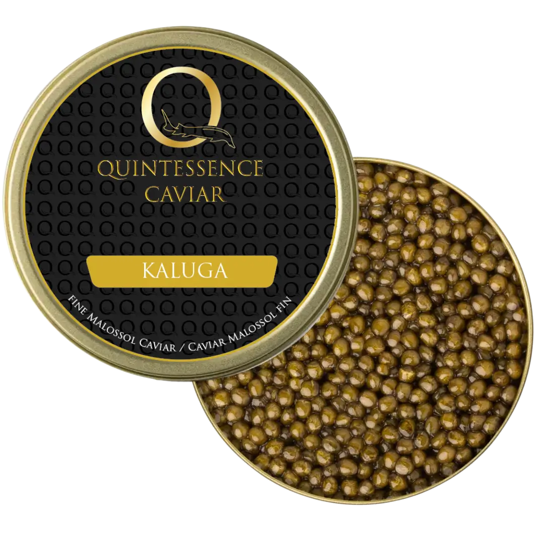 Caviar Kaluga – Huso dauricus