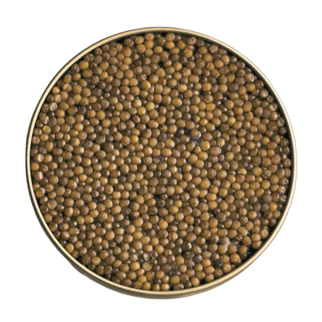 Caviar Kaluga – Huso dauricus
