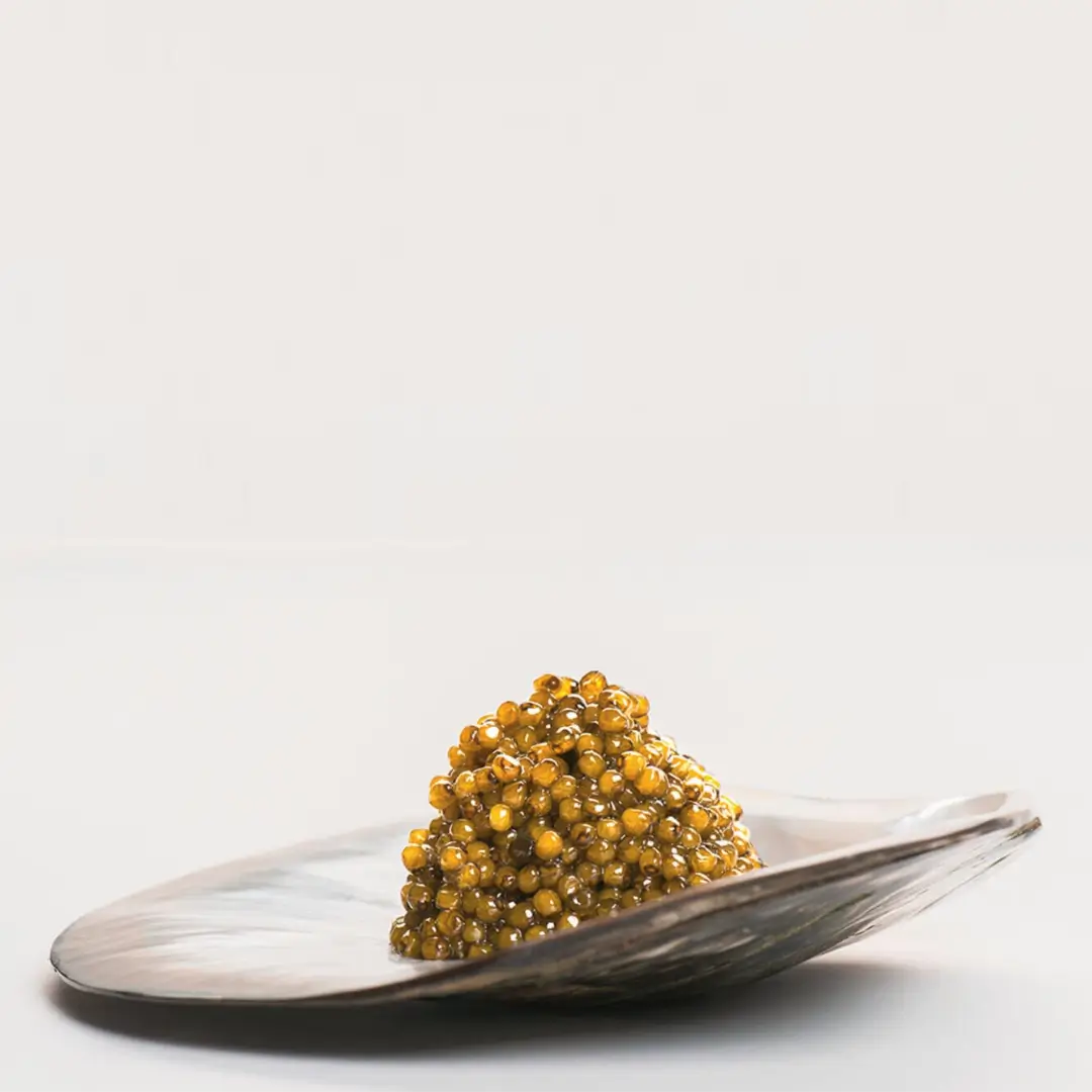 Caviar Kaluga – Huso dauricus