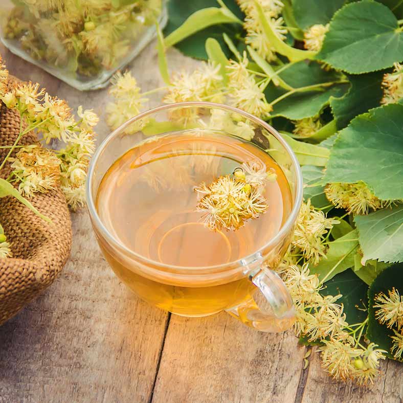 Linden flowers