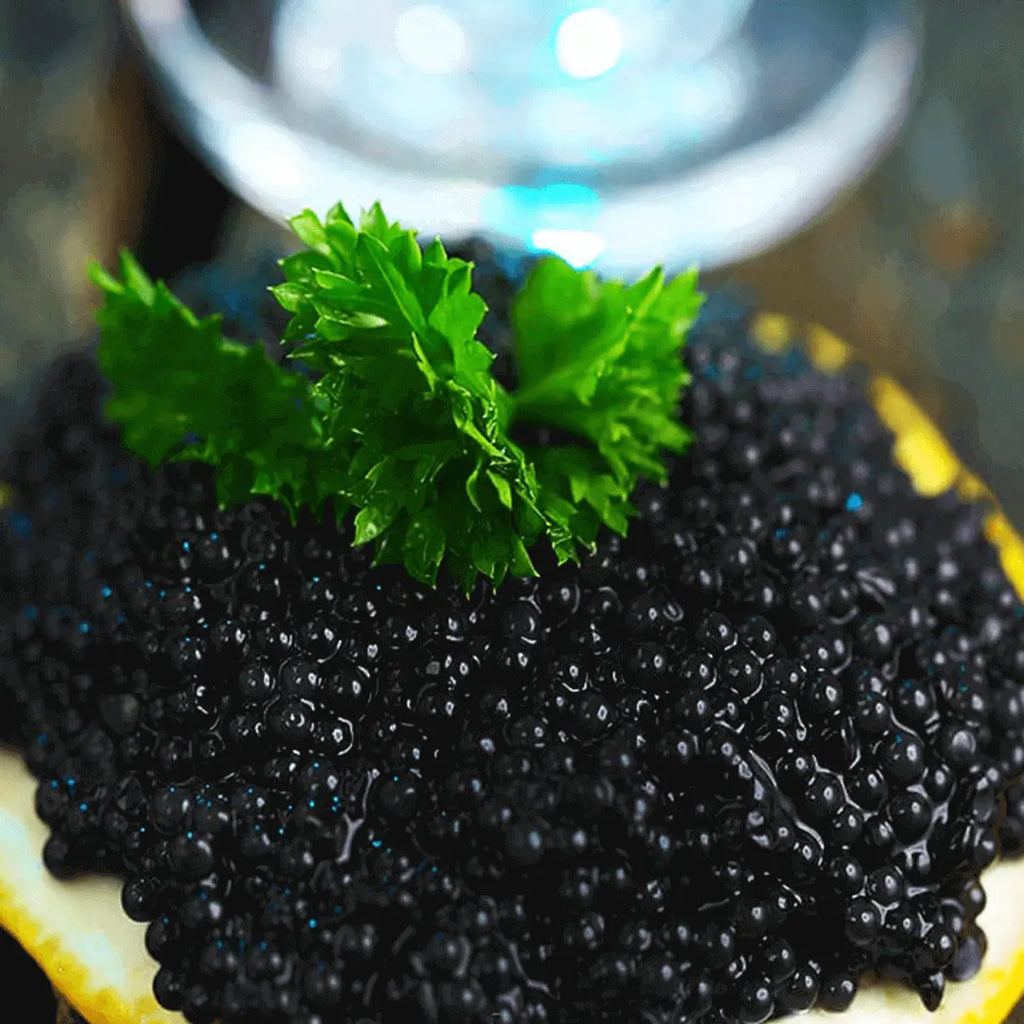 Caviar Noir de Lompe d’Islande